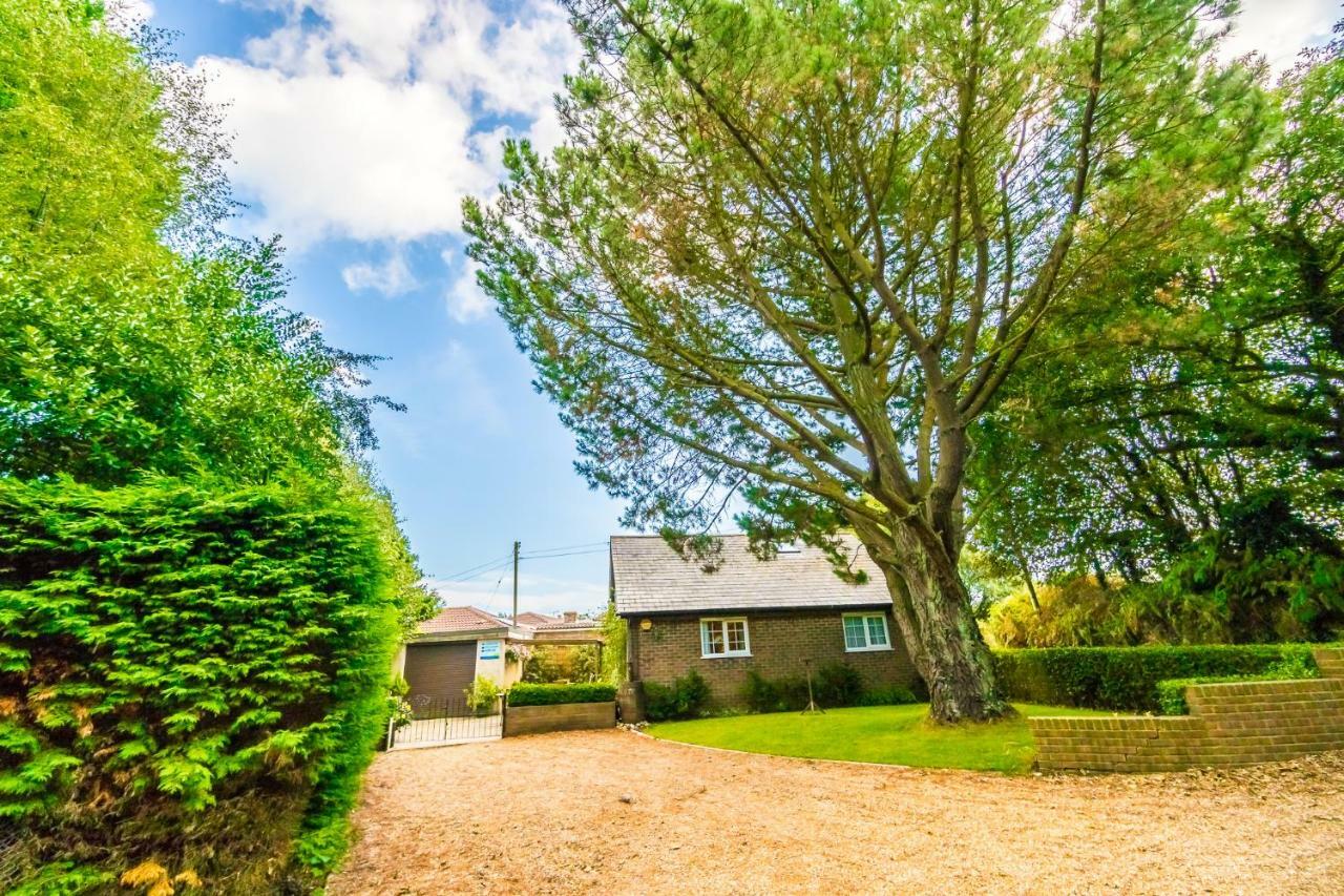 Swallows Nest - Covehurst Bay Cottage Hastings Luaran gambar